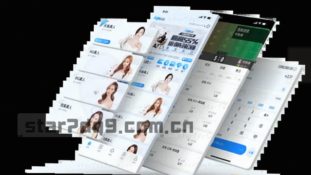 联系卡片2：专业支持，全程护航